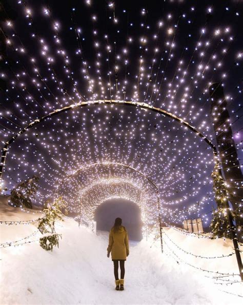 8 Places to See Beautiful Christmas Lights in Canada - London Drugs Blog