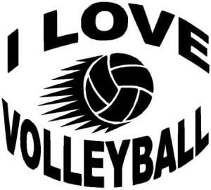 Love Volleyball Quotes. QuotesGram