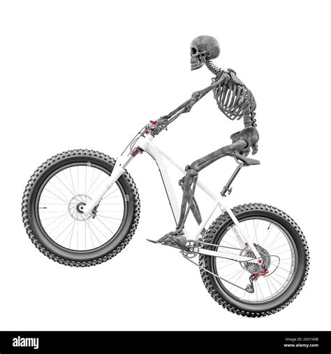 Skeleton riding bicycle hi-res stock photography and images - Alamy