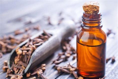 6 Ways To Use Cloves For Toothache For A Faster Pain Relief