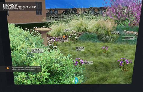 Meadow Garden - Waterwise Garden Planner