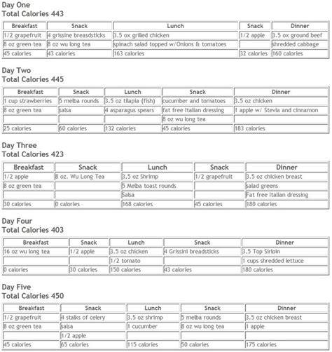 Calorie diet and meal plan - Eat This Much - 500 calorie a day diet ...