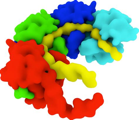 Stealth virus: Escaping detection by the body's immune system | University of Michigan Health System