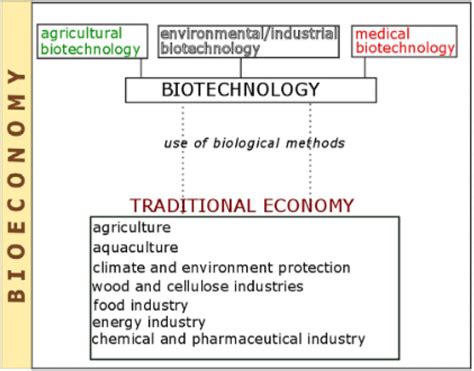 Bioeconomy sectors (Woźniak and Twardowski, 2018). | Download ...