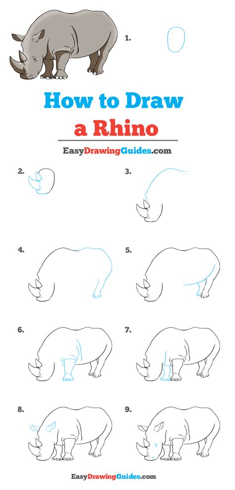 How To Draw A Rhino Step By Step