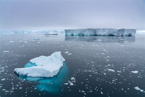 Antarctica: Icebergs and secret weapon - Travel Medicine Alliance