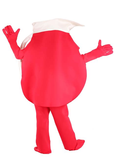 Kool-Aid Adult Deluxe Costume | Beverage Costumes