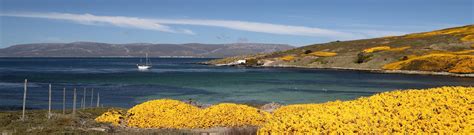 Falkland Islands Travel and Tours Inspiration