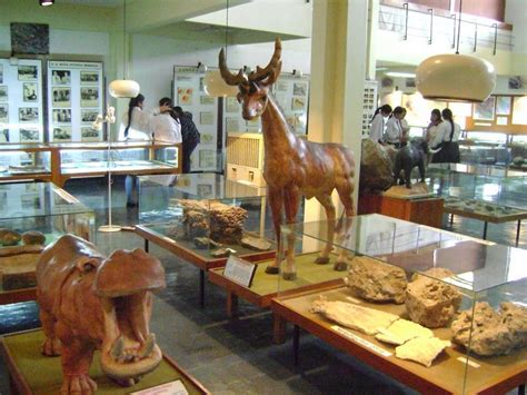 Forest Research Institute Museum - Private Transfers - Travstore | Discover, Explore, Experience ...