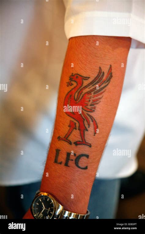 July 2008 - A man with a Liverpool football club tattoo on his arm Liverpool England UK Stock ...