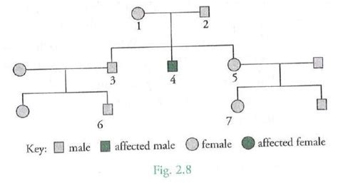 Cystic Fibrosis Pedigree