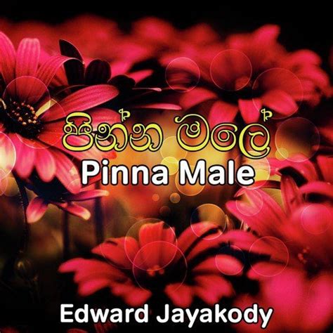 Pinna Male - Song Download from Pinna Male @ JioSaavn