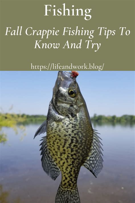 Fall Crappie Fishing Tips To Know And Try