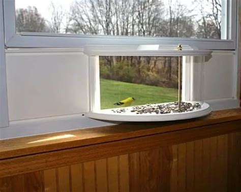 Window Bird Feeder | BestNest Window Mounted Feeder Tray - Yinz Buy