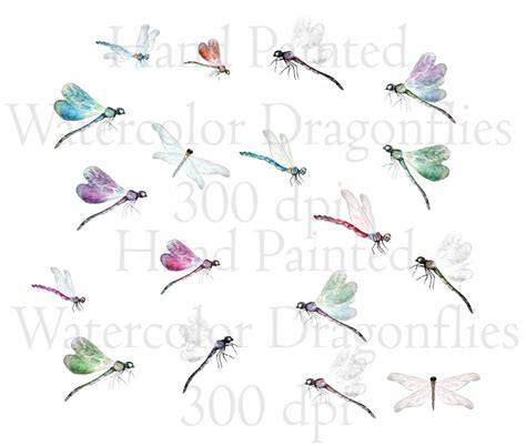 Watercolor Dragonfly Clip Art High Resolution Graphic Digital | Etsy