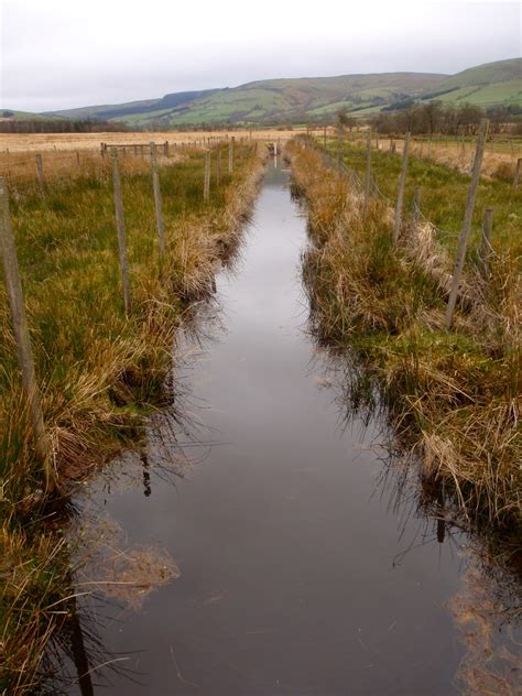 Bog Snorkeling - Something you should try or leave it to the British? | Wales travel ...