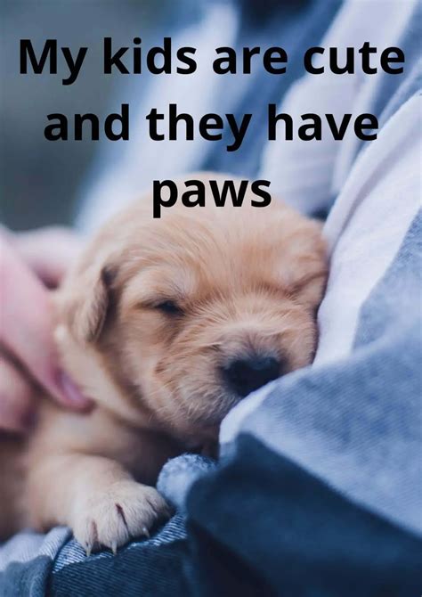 15 Best Dog Mom Quotes That Will Warm Your Heart - Labrador Loving Souls