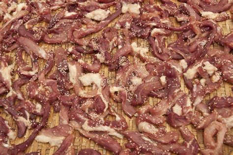 Dried Meat One Kind for Keeping Food Stock Photo - Image of brown, africa: 22622198