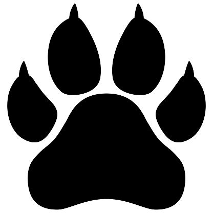 Wildcat Paw Print Vector Illustration Stock Illustration - Download ...