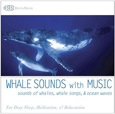 Whale Sounds with Music: Sounds of Whales, Whale Songs, & Ocean Waves ...