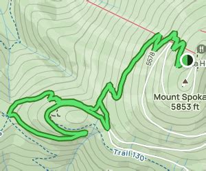 AllTrails | Mount Spokane Summit - Saddle Junction Trail: 82 Reviews, Map - Washington