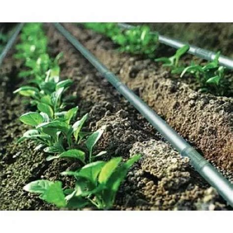 Plastic Vegetable Garden Trickle Irrigation System at Rs 6.5/piece in ...