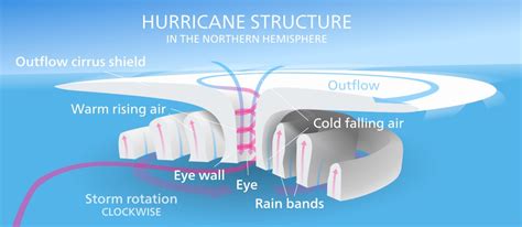 A Diagram Of A Hurricane