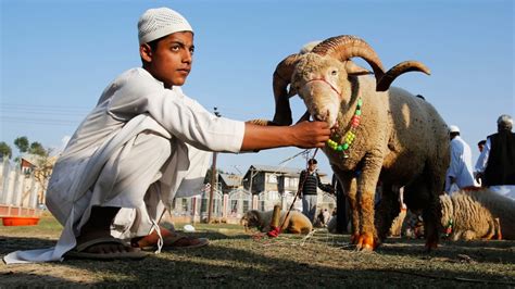 Feast of Sacrifice: Eid-al-Adha celebrated around the globe | CTV News