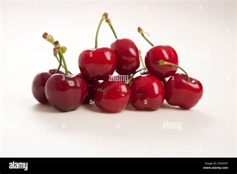 food still life Stock Photo - Alamy