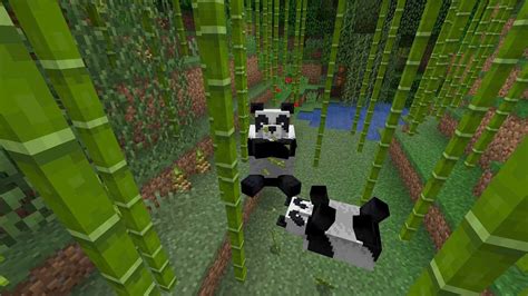 Minecraft How to Tame Pandas and Breed Them - Gamerheadquarters