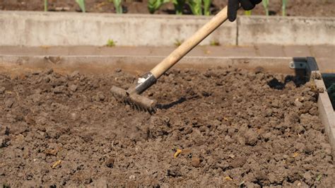 Preparing the soil for planting seedlings and sowing seeds. Using a ...