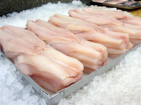 Haddock Fillets ( 1kg) [FROZEN] only £21.50 from The Berwick Shellfish ...