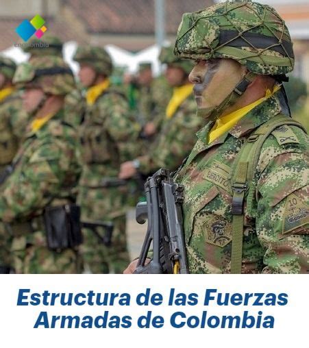 Estructura y Funciones de las Fuerzas Armadas de Colombia | Fuerzas ...