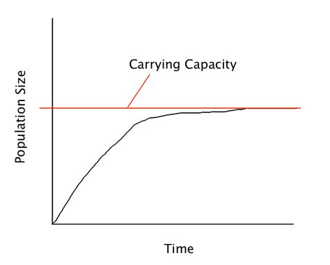 Carrying Capacity Tutorial | Sophia Learning