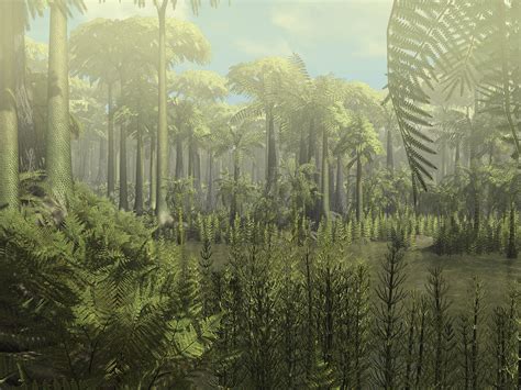 Carboniferous Forest Simulation | Prehistoric world, Prehistoric animals, Ancient animals