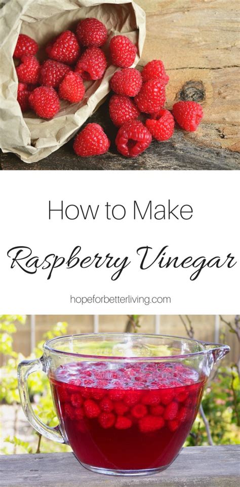 How to Make Raspberry Vinegar • a traditional life