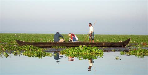 Vembanad Lake in Kumarakom - Best Backwater Tourist Destination in Kerala