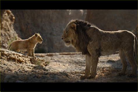 Is There a 'The Lion King' End Credits Scene?: Photo 4322662 | Movies, The Lion King Pictures ...