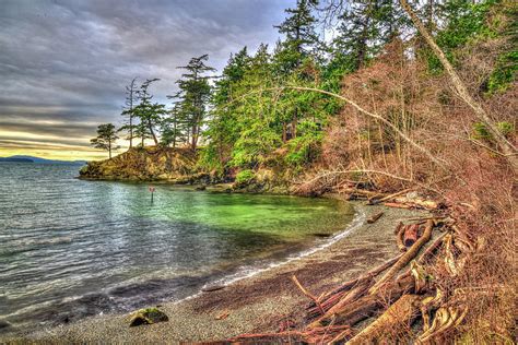 Larrabee State Park Cove Photograph by Spencer McDonald - Fine Art America