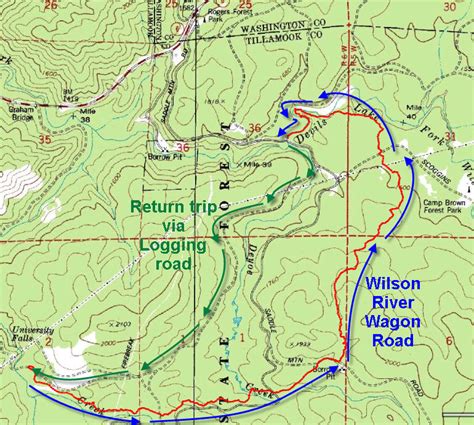 Wilson River Wagon Road Trail | Forest Hiker