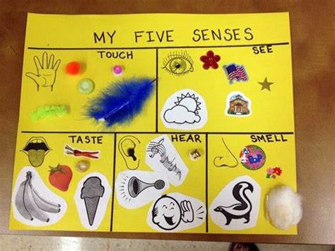 5 Senses Activity – Youth First