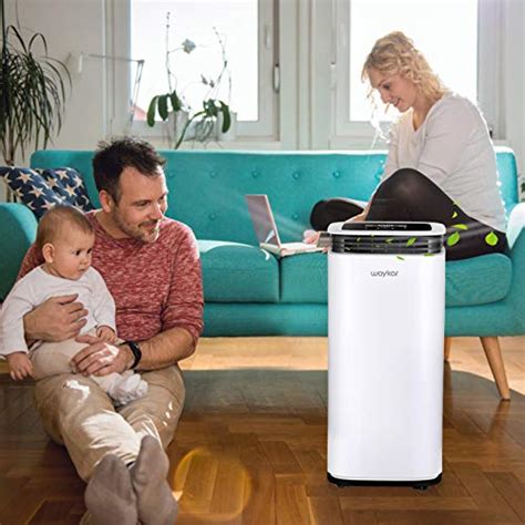 13 Best Dehumidifier For Basement | Reviews + Guide