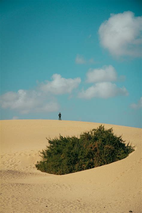 Person Camel Riding On Desert · Free Stock Photo