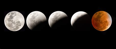 By the Numbers: Super blood wolf moon eclipse | Penn Today