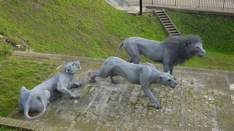 Our Top 20 Animal Sculptures - Footprints of London