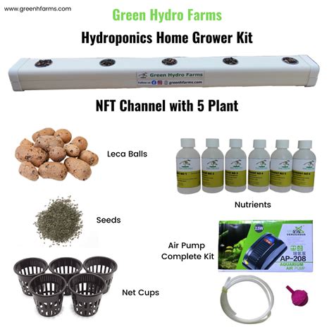 Hydroponics Kit for Home Growers | 5 Plant NFT Channel with complete ...