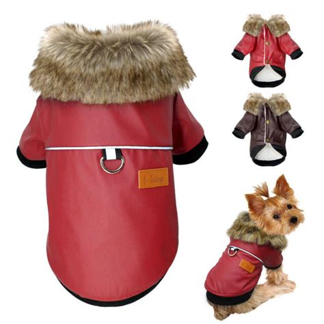 Chihuahua Clothes Small Dog Winter Coat Waterproof Fur Collar Warm Padded Jacket | eBay