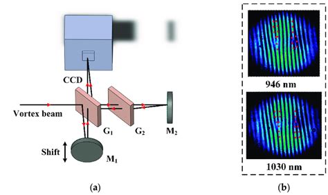 (a) The optical path diagram of the wavefront phase detection device ...