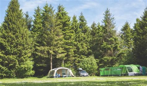 Caravan & Camping Holidays in Devon | Forest Glade Holiday Park