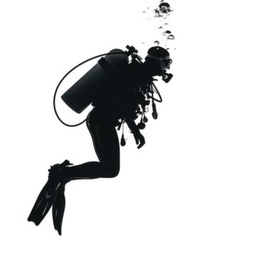 Scuba Diver Isolated Silhouette, Diver, Scuba, Sea PNG Transparent Image and Clipart for Free ...